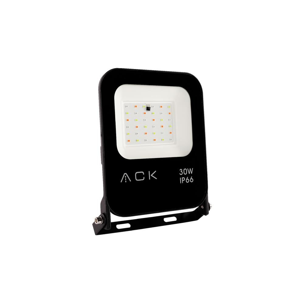 ACK AT62-03092 30W RGB Işık LED Projektör