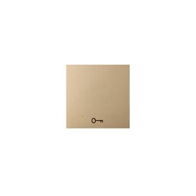 Viko Artline Novella/Trenda Bronz Kapı Otomatiği Düğme 92605205