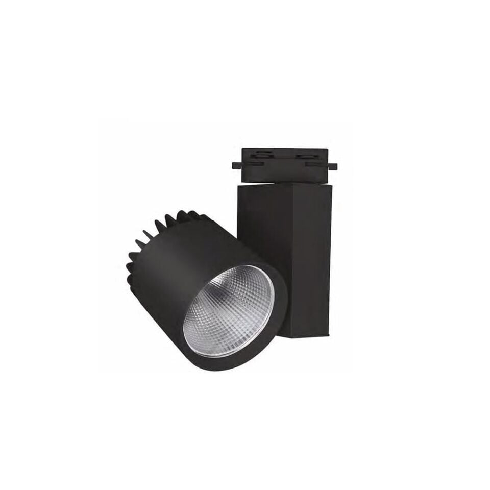 Forlife Ray Spot Armatür Siyah Kasa 35W FL-2275 S - Beyaz