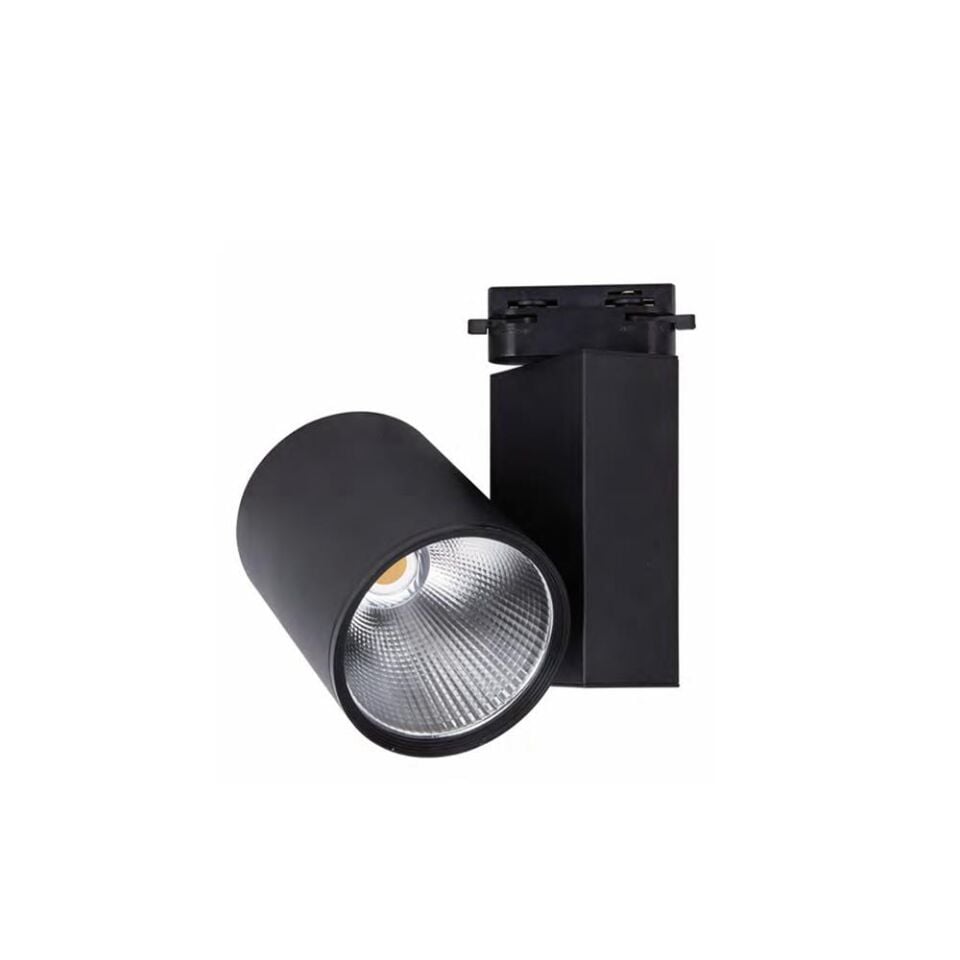Forlife Ray Spot Armatür Siyah Kasa 30W FL-2271 S - Gün Işığı