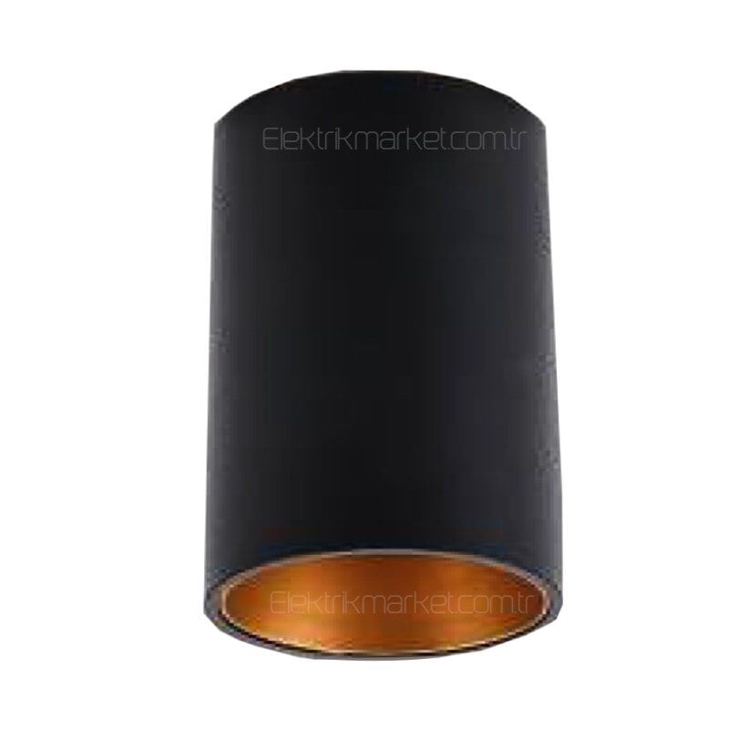 CATA CT-5418 Assos Siyah Gold Sıva Üstü Dekoratif Armatür