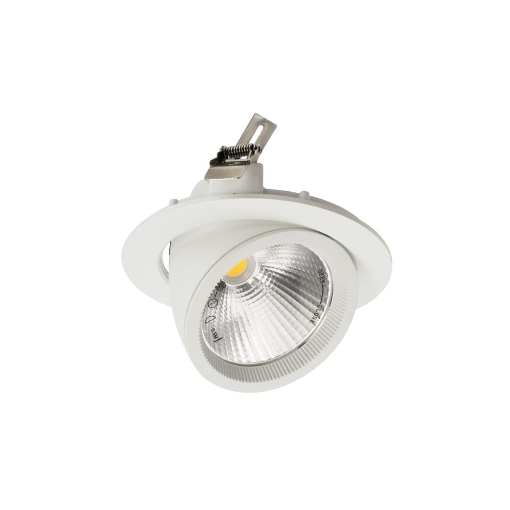ACK AD36-00400 30W COB LED Salyangoz Armatür 3000K