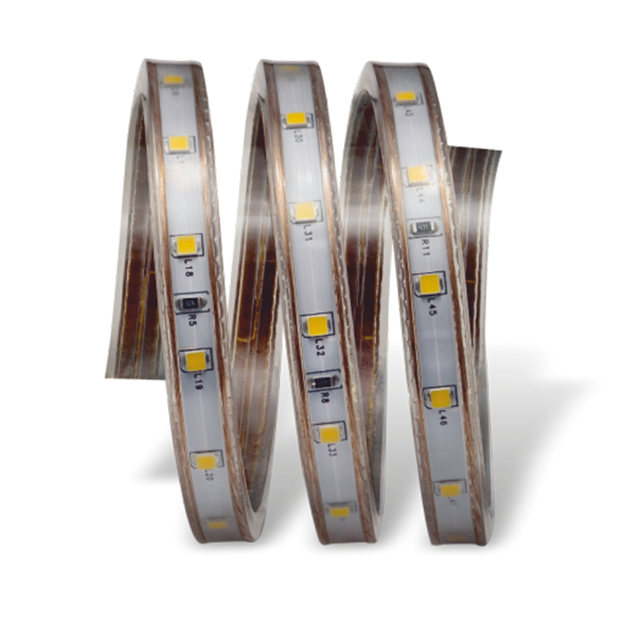 CATA CT-4553 220V Şerit LED Dış Mekan Gün Işığı 100 Metre