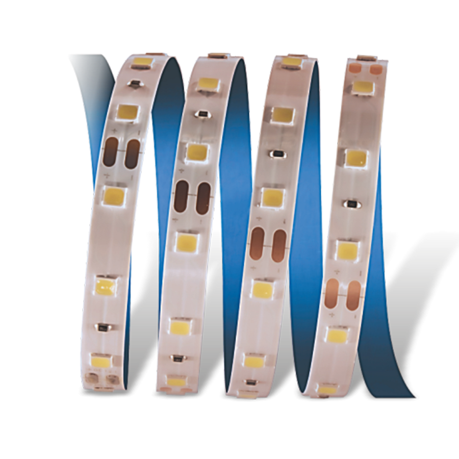 CATA CT-4484 10 Çipli Şerit LED İç Mekan 12V MAVİ  5 Metre