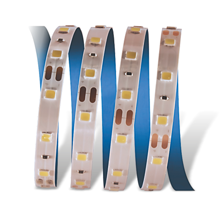 CATA CT-4483 10 Çipli Şerit LED İç Mekan 12V Yeşil  5 Metre