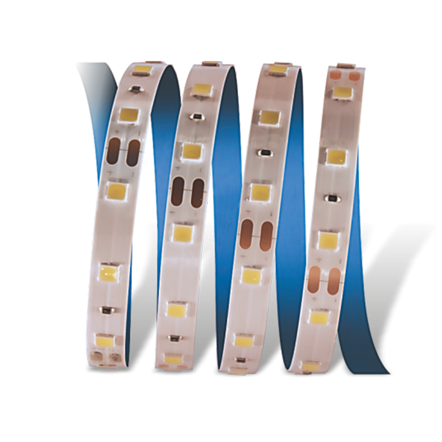 CATA CT-4482 10 Çipli Şerit LED İç Mekan 12V Kırmızı  5 Metre