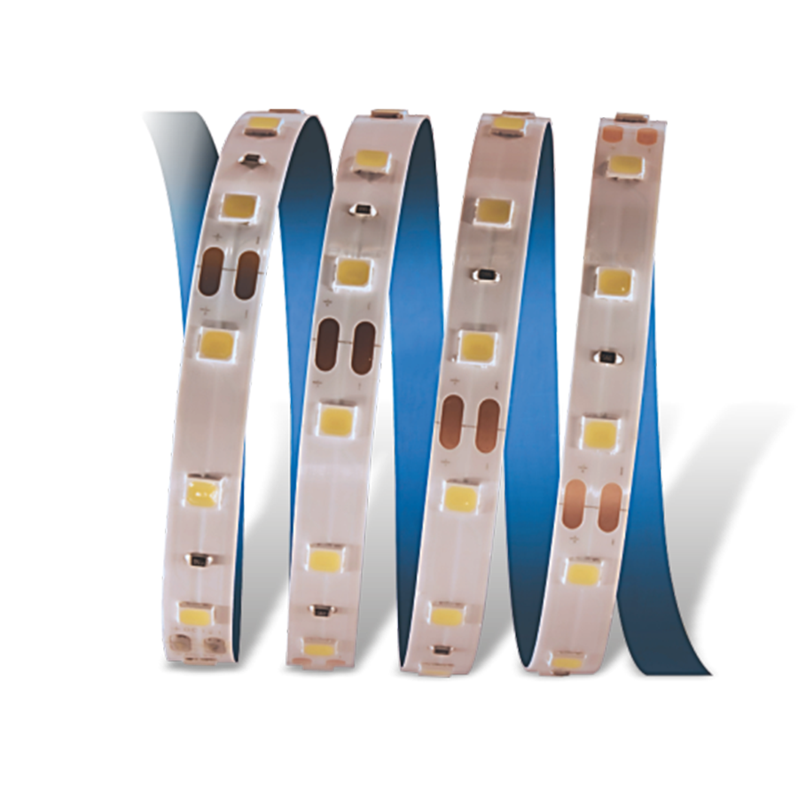 CATA CT-4481 10 Çipli Şerit LED İç Mekan 12V Gün Işığı  5 Metre